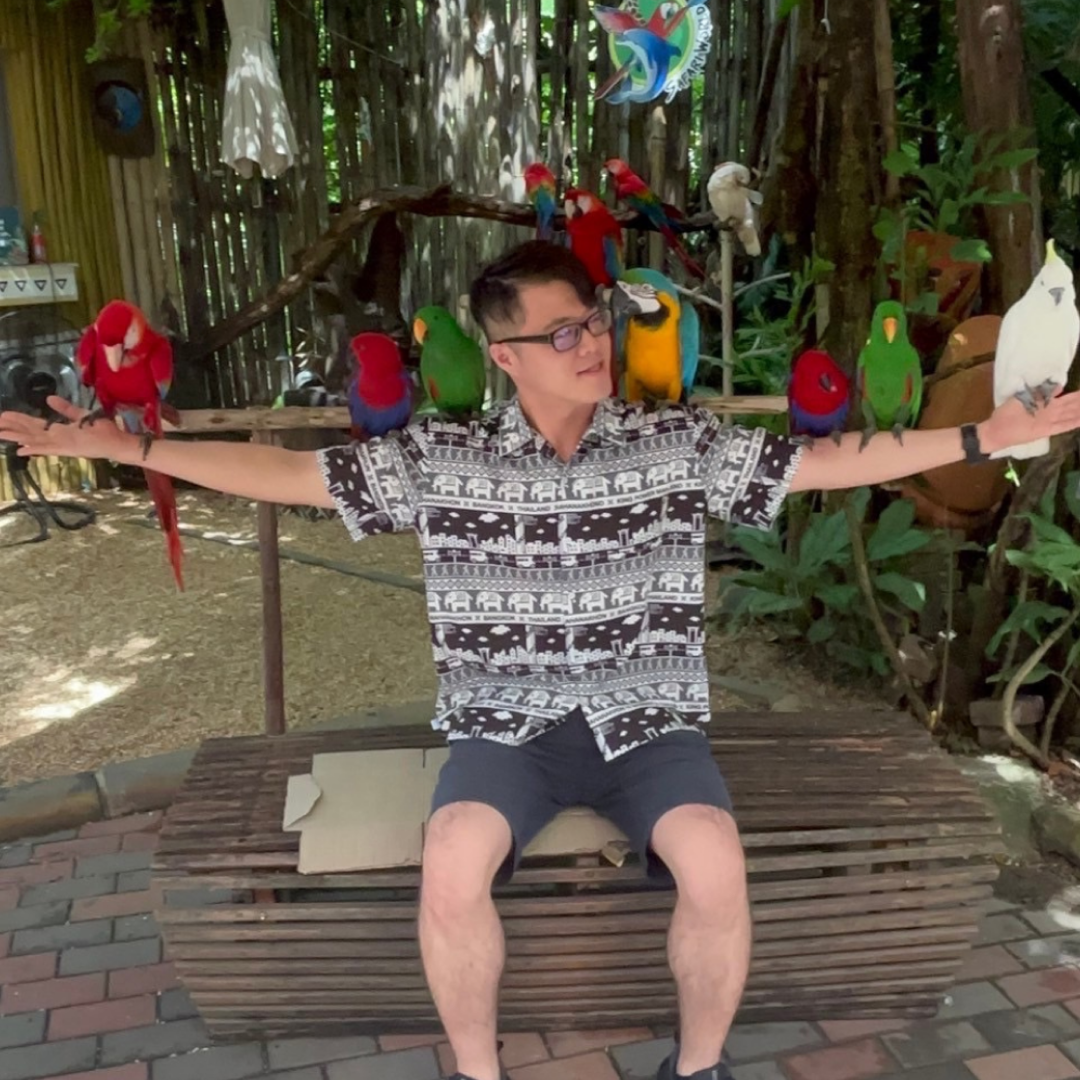 Banner image